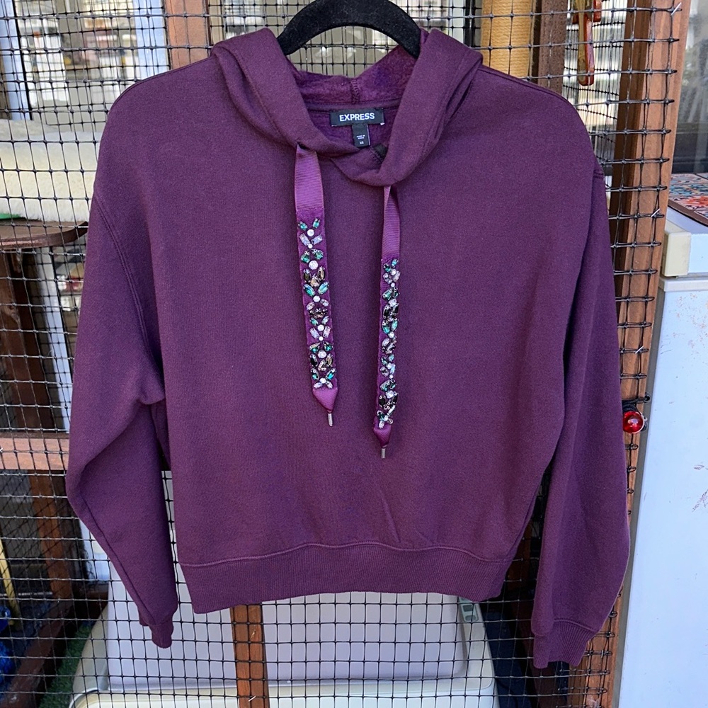 Purple Embellished Soft Hoodie